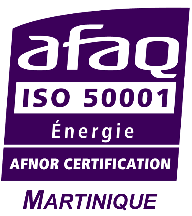 LOGO ISO 50 001
