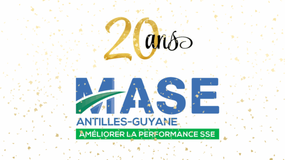 20 ans du MASE